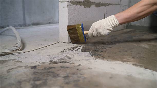 SJ Waterproofing Pros Waterproofing coverage map for Reed City, MI and surrounding area